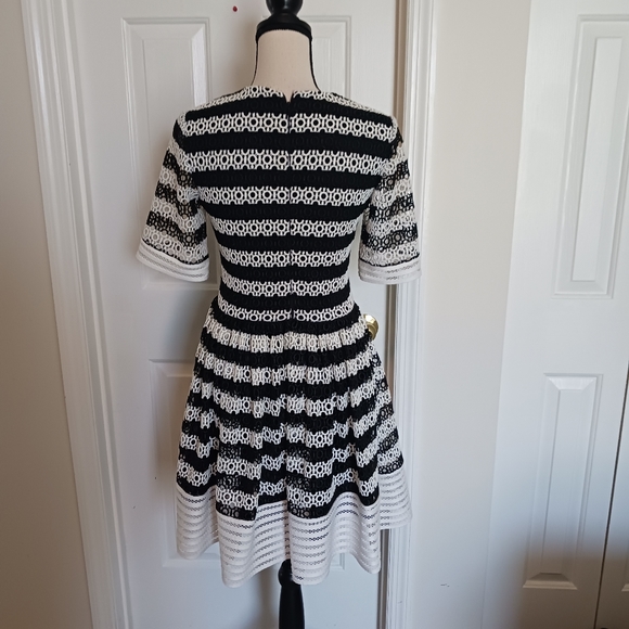 Alexis Amir Striped Crochet Pleated Dress - Picture 5 of 15